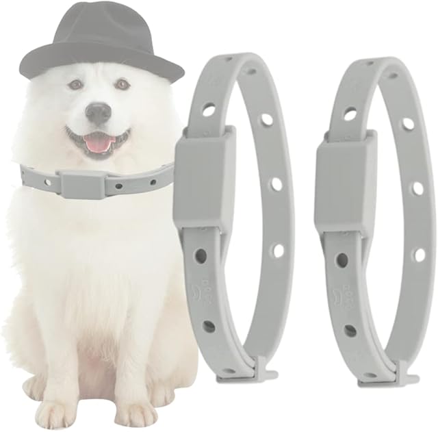 2 Pcs Dog Flea Collars Flea and Tick Collars Adjustable Pet Flea Collar Natural Medicinal Plant Preparations for Kitten Cats Puppy 50.5cm (Dog grey)