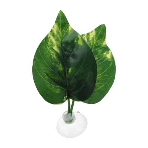 CAPASTEC Betta Fish Leaf, Natural Habitat Simulation for Betta Spawnings Grounds, Betta Spawnings Leaves, Resting Bed, Double Leaves, Dark Green