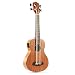 Donner - Ukulele Bass Acústico Eléctrico DUB-1 de Caoba 18 Trastes de...
