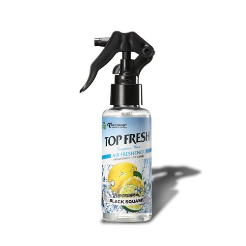Auto Dynasty Treefog Mist Spray Air Fragrance Freshener Bottle (Black Squash Scented)