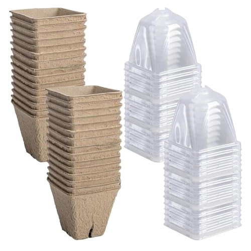Macetas de siembra con cúpula contra la sequedad: vasos con orificios de drenaje 2