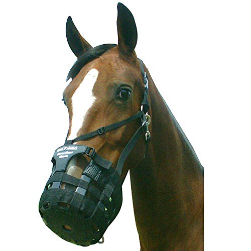 Best Friend Have a Heart Muzzle Draft