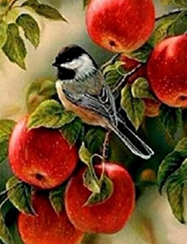 Peinture au diamant 5D oiseau broderie strass point de croix artisanal 30x40