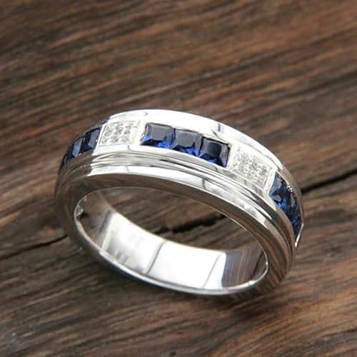 AARK & CO 2.20Ct Princess and Round Cut Blue Sapphire Lab Created Diamond Channel Set Man's Wedding Ring 14K White Gold Finish 925 Sterling Silver Ring2