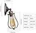 GLADFRESIT Vintage Wall Sconces Set of Two Industrial Wire Cage Light, Vintage Metal Barn Wall lamp, Indoor Farmhouse Lights Fixture Adjustable Lighting (Bulb Not Included)