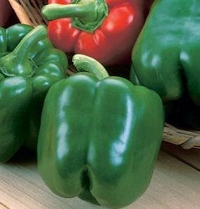 Pepper King Arthur 100 Seeds