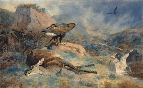 Impression d'affiches la biche perdue par Archibald Thorburn decoration murale salon 60x90cm