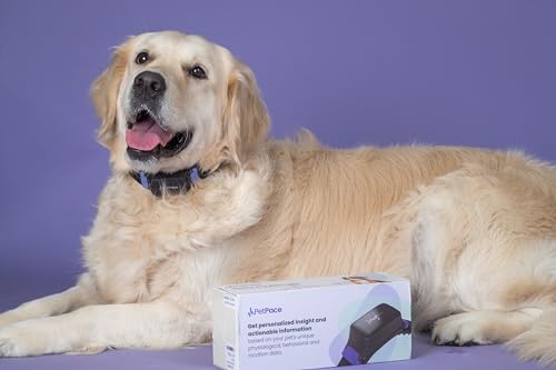 PetPace Health Monitoring + GPS - Smart Dog Collar, Non-Invasive Pet Tracker, Early Detection, Disease Management, Pulse, Temperature, Respiration, Stress Level, Activity, Health 2.0 (Newest) (Medium)