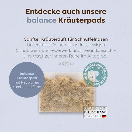 Löwenkind Dogs 100% natürliche Pads für Reiseübelkeit Hunde - wirkungsvolle Entspannung bei Autofahrten (Set mit 6 Kräuterpads und SniffTag, Travel-Pads bei Reiseübelkeit)