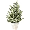 Primitives by kathy ice 16 tree  urban country home decor