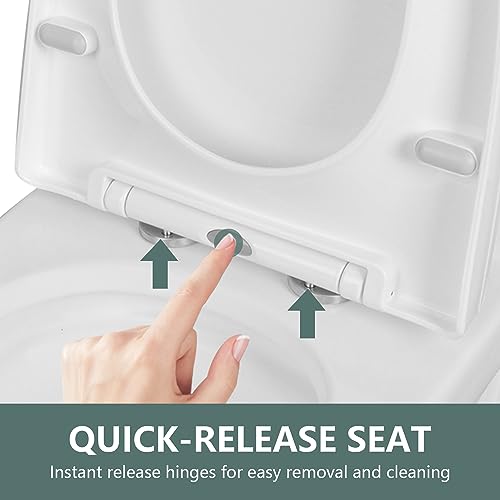 DeerValley Elongated One-Piece Toilet, Comfort Height Seat, Dual Flush 1.1/1.6 GPF, 10\" Rough-In, White Ceramic Bowl, Ideal for Residential Use - Thumbnail 4