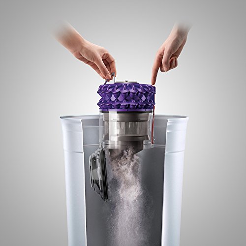 The 11 Best Dyson Canister Vacuums of 2024 [Verified] Cherry Picks
