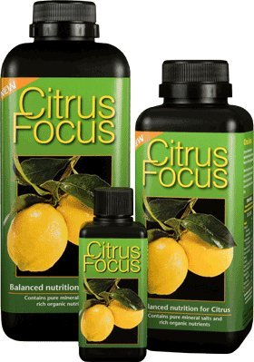 Growth Technology 5L Citrus Focus Concentrated Liquid Plant Nutrient for all Citrus trees (5 Litres)