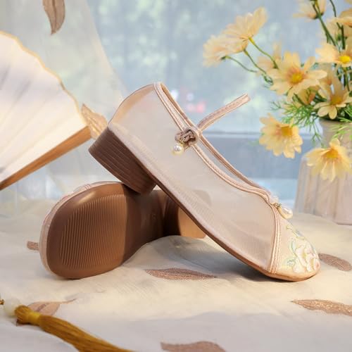 2025 Summer Women's Breathable Mesh Floral Embroidery Shoes Chinese Style Elegant Cheongsam Hanfu Shoes Round Toe Low Heel Mary Jane Shoes Casual Ankle Strap Shoes3