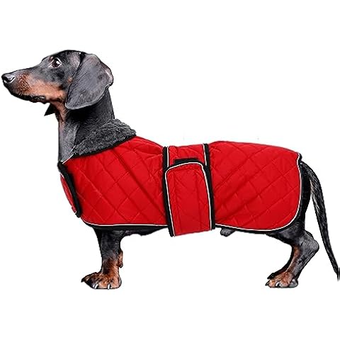 Morezi Water Resistant Dachshund Coat Cover