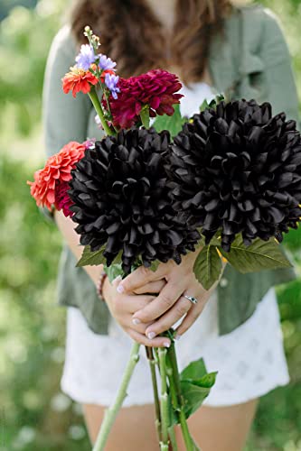 Hollyone 6'' Large Artificial Chrysanthemum Flowers with 25.6'' Long Stem - Image 3