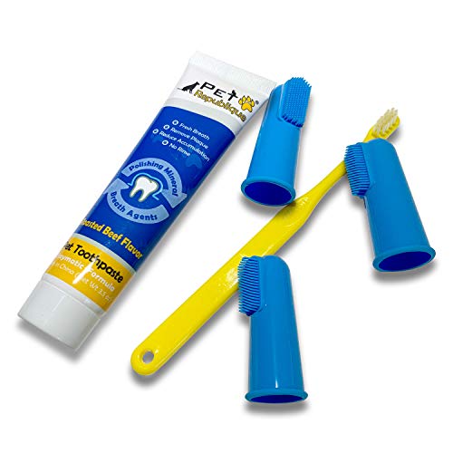 Pet Republique Dog Toothbrush Series Pack of 6 or 3 – Cat and Dog Finger Toothbrush, Handle Toothbrushes for Dogs, Cats, and Most Pets (Toothpaste Kit, Toothpaste & Finger Toothbrushes)