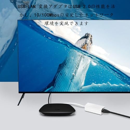 FamGift USB LANアダプター USB To RJ45 100/10Mbps 高速有線 LAN変換アダプター の商品画像 3