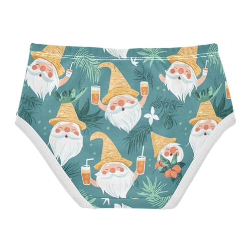 ZZKKO Summer Gnomes Leaves Girls Underwear Toddler Panties for Girls Comfort Brief Size 2T-8Y2