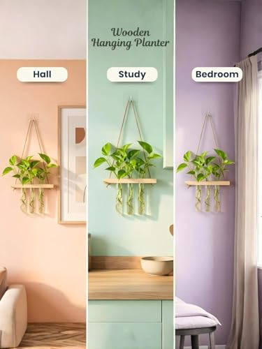 Image of Hanging Planter Set of 2 with Wooden Holder & Rope | 6 Test Tube Hanging Planter For Indoor | Wooden Planter for Home Decor, Living Room, Balcony & Office Decoration