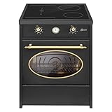 ✅ Kochfeld Plaque de cuisson à induction avec 4 zones de cuisson booster