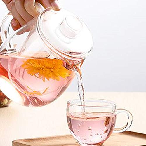 Chaleira de chá de café resistente da TOPMountain com bule de vidro para sala de estar, chá verde, f