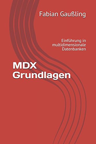 Preisvergleich Produktbild MDX Grundlagen: Einführung in multidimensionale Datenbanken