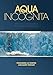 Produktbild Aqua Incognita: Why Ice Floats on Water and Galileo 400 Years on