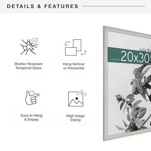 MCS Studio Gallery 20x30 Poster Frame Gray Woodgrain, Vertical & Horizontal Wall Hanging Large Picture Frame for Photos, Posters & Art Prints (2-Pack)