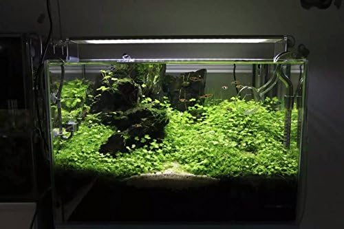 Tutoy 4PCS Edelstahl Aquarium Ständer für Aquatic High LED Licht Lampe Aquarium Halter Halterung Unterstützung - Unterstützung für