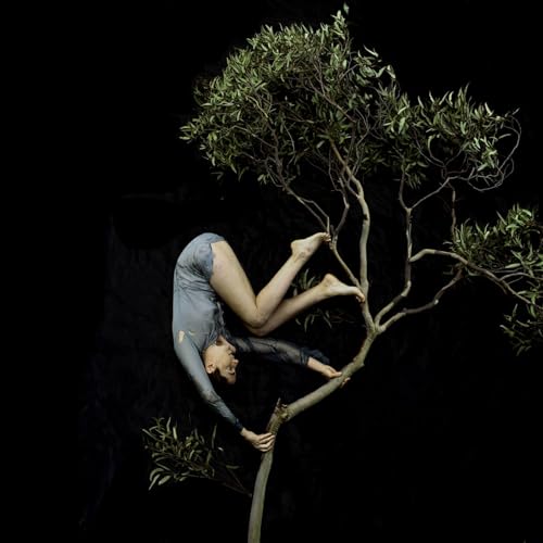 Tamara Dean : About Humanity