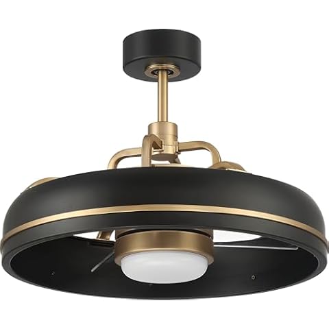 Craftmade TYL24FBSB3 Taylor 20" Ceiling Fan with LED Lights & Remote, Flat Black/Satin Brass Cover