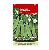 Semillas de guisantes Norli - Guisantes Mangetout