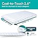 BLISSBURY Cooling Memory Foam Pillow, 2.6 Inch Thin, for Stomach & Back Sleeper, Queen Size, Removable Cool-Tech Cover, CertiPUR-US Certified