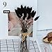 Produktbild Brandless 20Pcs / Lot Natürliche Getrocknete Blumen Realer Kaninchen Schwanz Gras Artificial Blumenstrauß Rosa Romantische Hochzeit Blumen Home Decoration (Color : 9)