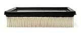 Champ Labs AF974 Air Filter