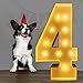 2.3FT Marquee Light Up Number,Marquee Numbers 2.3 Feet Tall, Large Led Sign for Party,Birthday Decorations,Graduation,Prom,Baby Shower(Number 6)