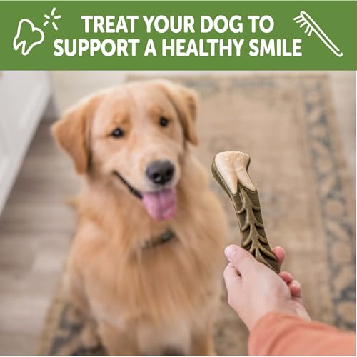 Image of Whimzees Wellness Brushzees Natural Dog Dental Treat, VOHC Accepted Chews, Freshens Breath, Large Size, 12.7 oz Bag, 6 Count (Pack of 6)