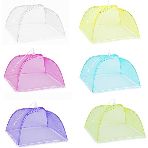 Winknowl （6 Pack ）17