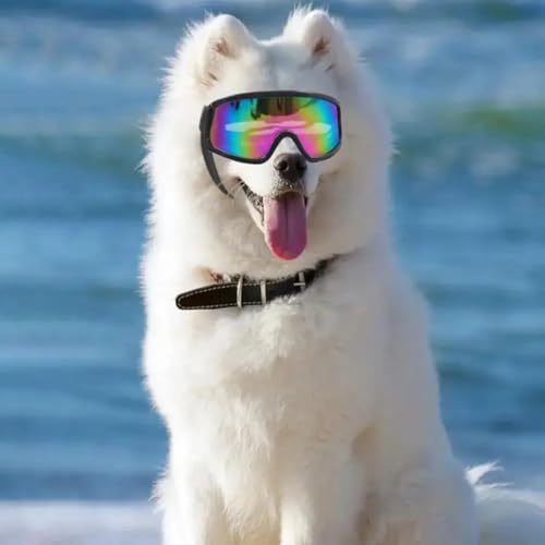Lagnlnaoy 2pcs Windproof Dog Goggles, UV Protection, Adjustable Straps, Anti-Fog Dog Sunglasses,Driving Puppy Glasses, Small to Medium Gifts