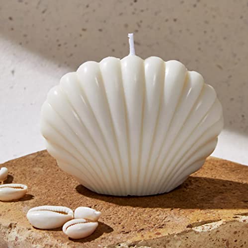POLARIS FOX Shell Shape Candle White in Color | 300GRAM | Floral Fragrance 1