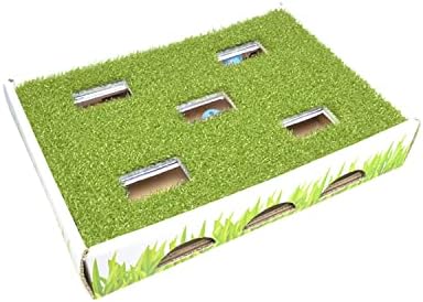 Petstages Grass Patch Hunting Box Cat Toy