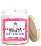 Co-Worker Candle Scented Candle I'd Burn This Place Down if You Didn't Work here Jar Single Wick Over 110 Hours of Burn Time, chill Mental Health Relaxing Atmosphere Birthday