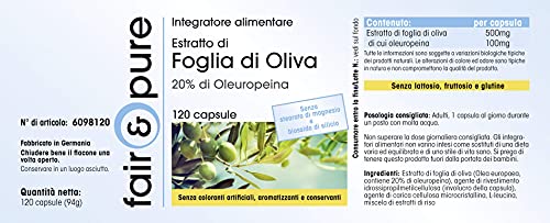 Extrait de feuille d'olivier standardisé à 20% d'oleuropéine - 6
