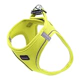 Filbert Dog Harness Small Sized Dog, Step-in Reflective Harness Small Sized Dogs, Puppy Vest, Mesh Vest, Adjustable, Soft, High Reflectivity, Breathable Fabric, Heavy Duty, Neon Yellow