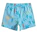 MaaMgic Jungens 4 Way Stretch Badehosen Schnelltrocknend Badeshorts mit Mesh-Futter Taschen und Verstellbarem Tunnelzug MEHRWEG,Hellblau Palmen Paddle Board,2 Jahre