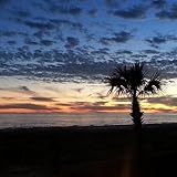 Tools of the Trade...