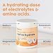 NativePath Native Hydrate, Zero Sugar, Electrolytes Powder with BCAAs, Tangerine Hydration, Keto & Paleo Friendly, 30 Servings