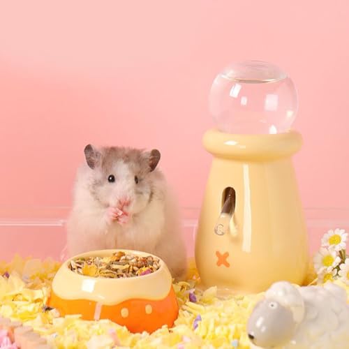 Distributeur d'eau pour hamster en céramique avec bol de nourriture étanche