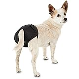 Petco Brand - So Phresh Washable Diaper for Dogs, Small